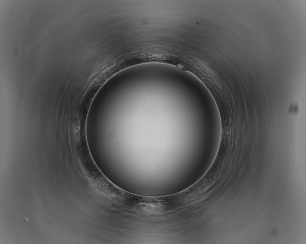 X0000090600552200707311203