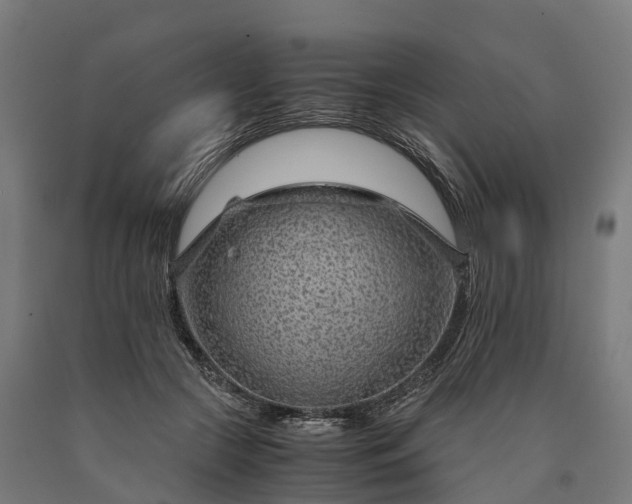 X0000090600553200707311203