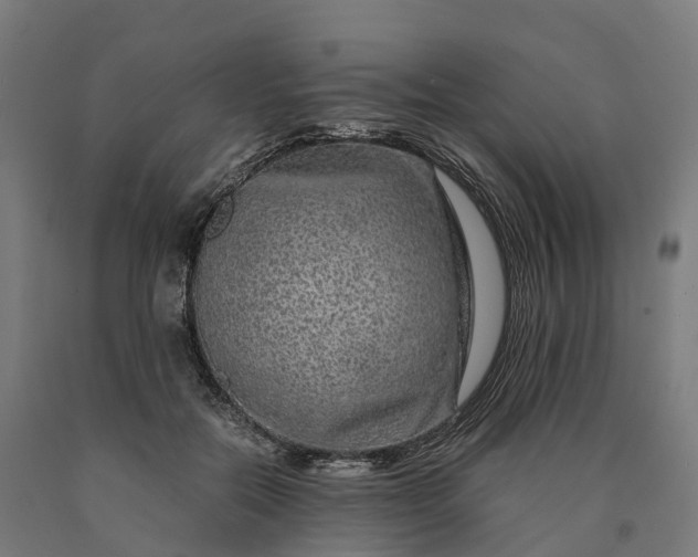 X0000090600554200707311203