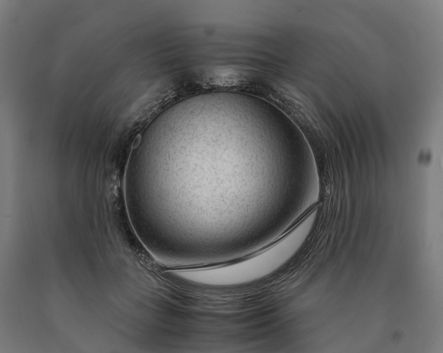 X0000090600555200707311203