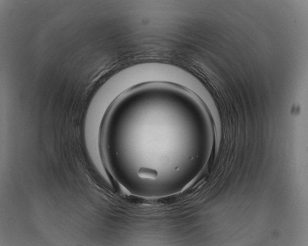 X0000090600556200707311203