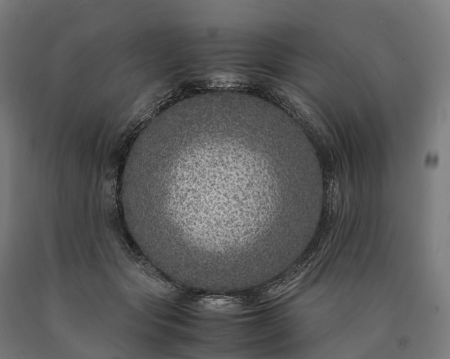 X0000090600557200707311203