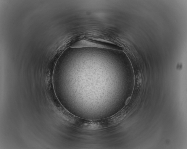 X0000090600559200707311203