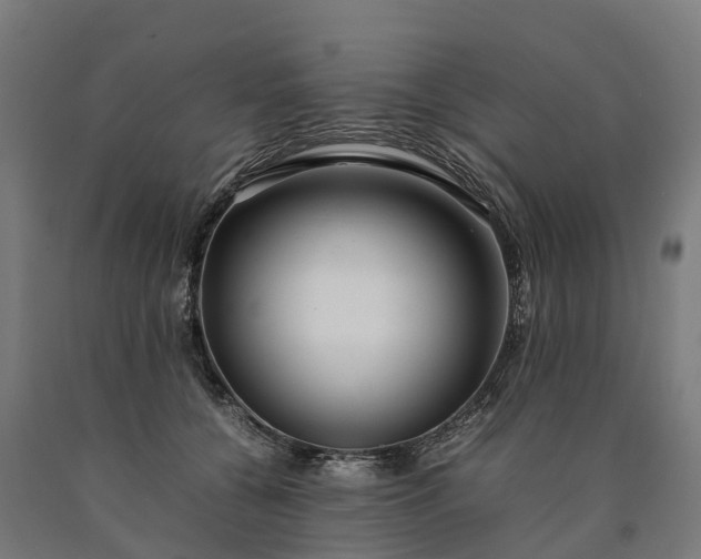 X0000090600560200707311203