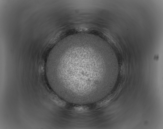 X0000090600561200707311203