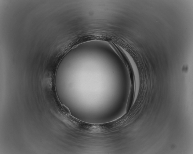 X0000090600562200707311203