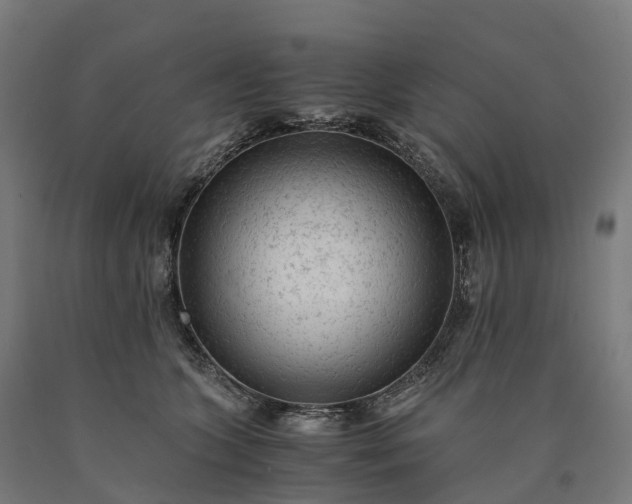 X0000090600563200707311204