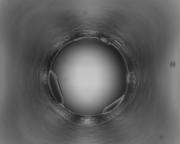 X0000090600564200707311204