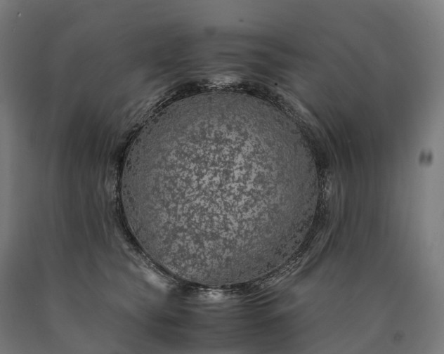 X0000090600565200707311204