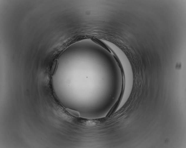 X0000090600566200707311204