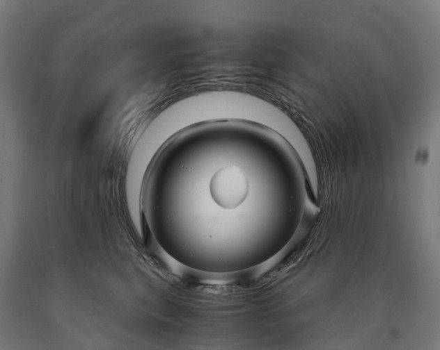 X0000090600567200707311204