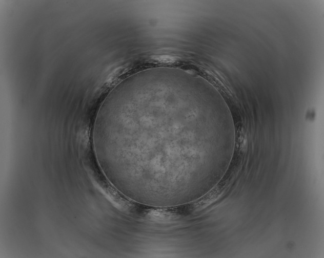 X0000090600568200707311204