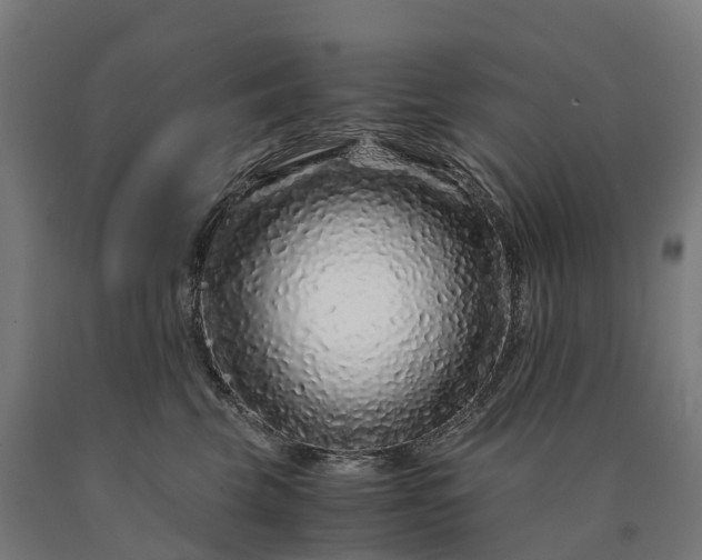 X0000090600569200707311204