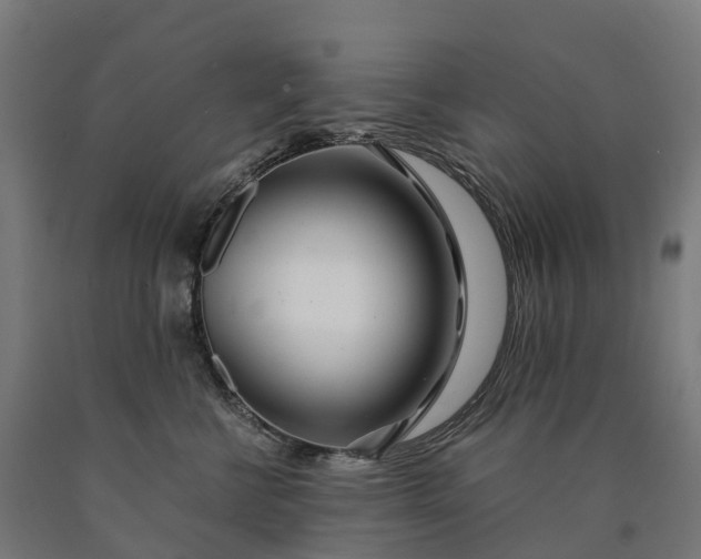 X0000090600570200707311204