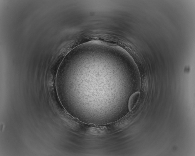 X0000090600571200707311204