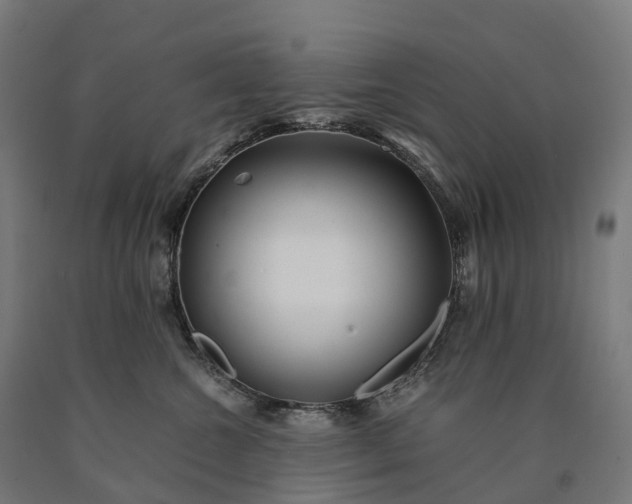 X0000090600572200707311204