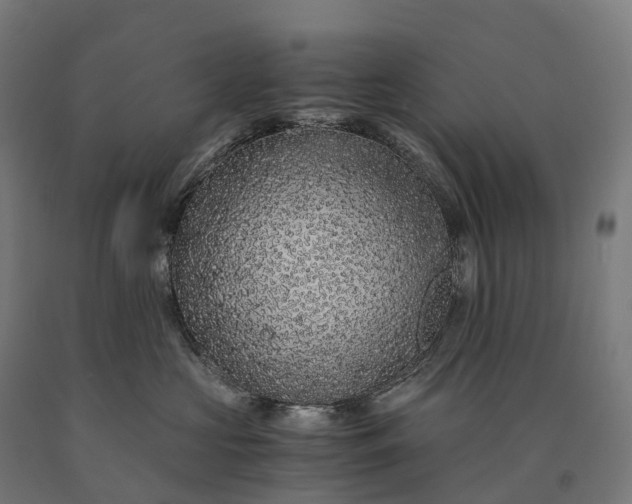 X0000090600573200707311204