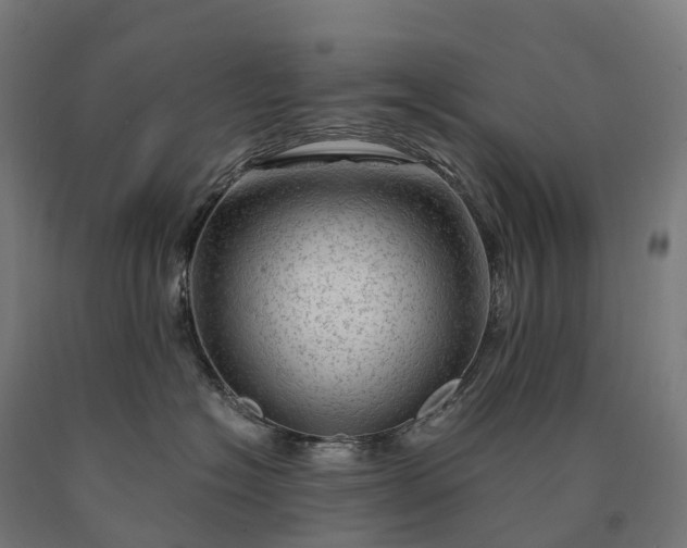 X0000090600574200707311204