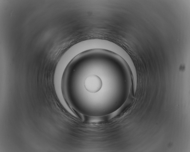 X0000090600575200707311204