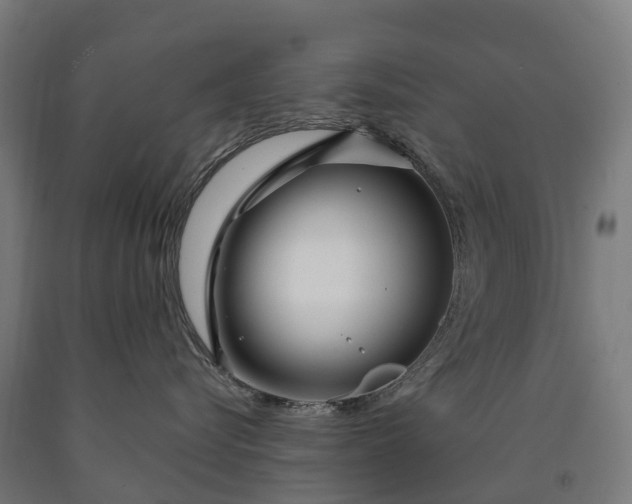 X0000090600576200707311204