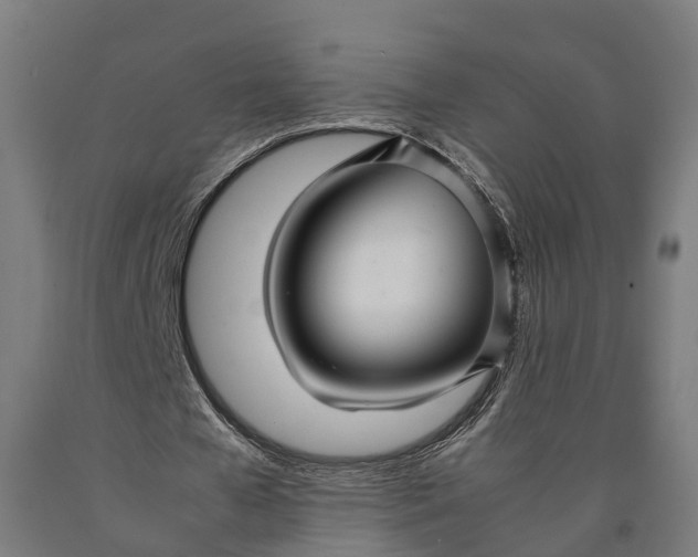 X0000090600577200707311203