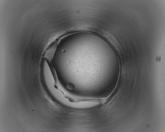 X0000090600578200707311203