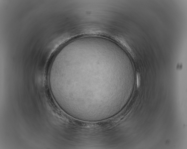 X0000090600579200707311203