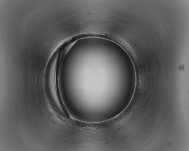 X0000090600580200707311203