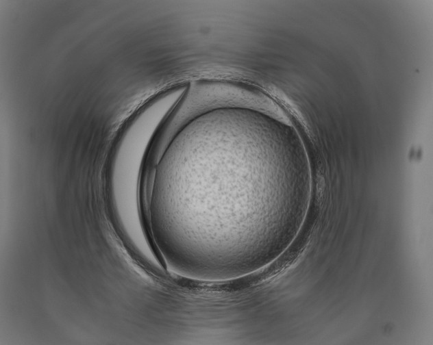 X0000090600581200707311203