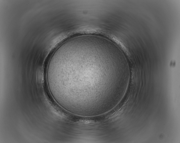 X0000090600582200707311203