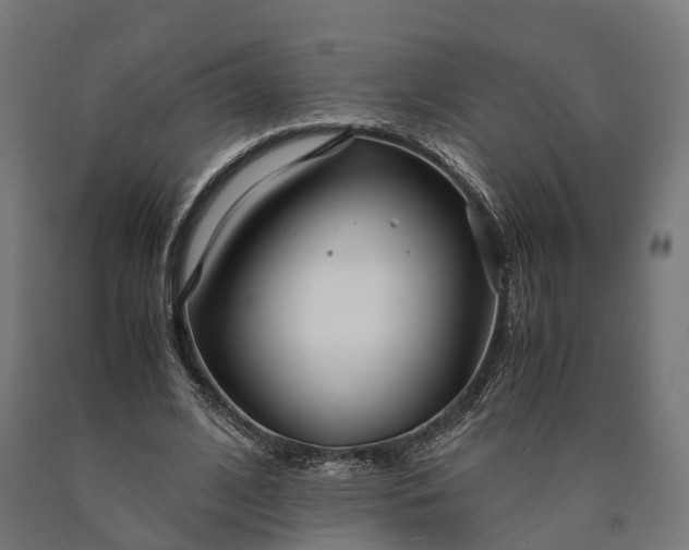 X0000090600584200707311203