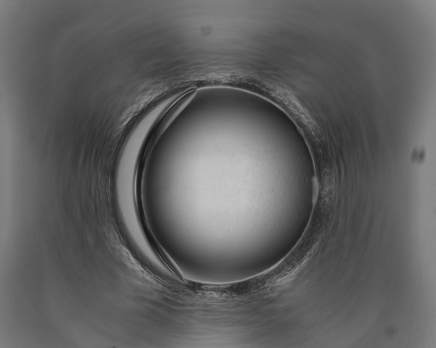 X0000090600585200707311203