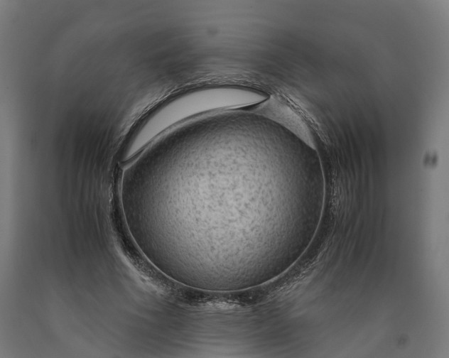 X0000090600586200707311203