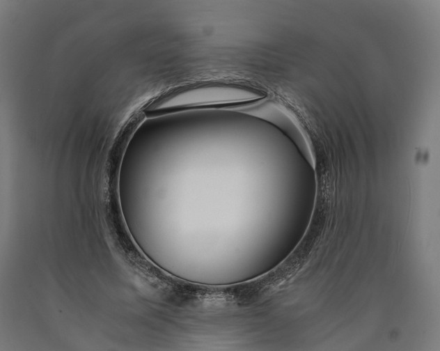 X0000090600587200707311203