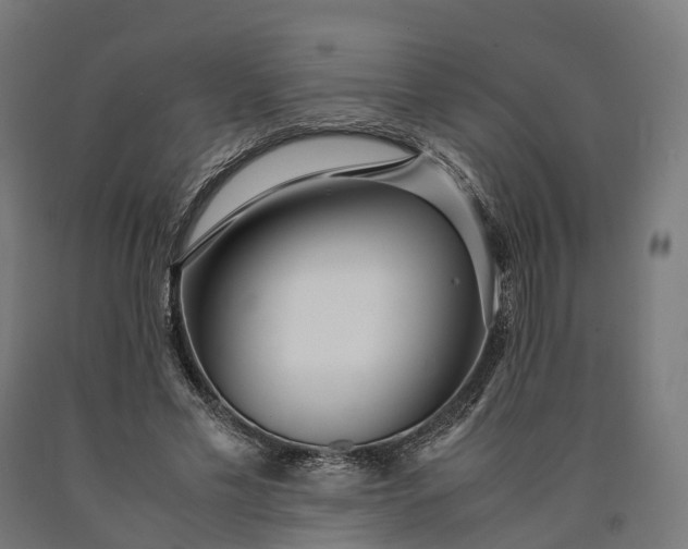 X0000090600589200707311203