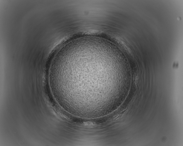 X0000090600591200707311203