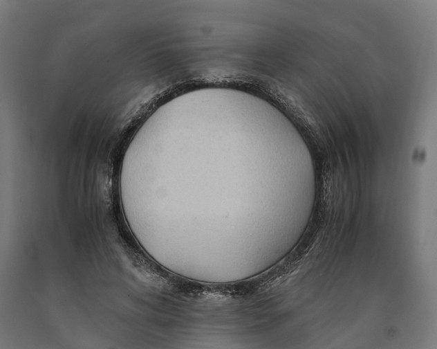 X0000090600592200707311203