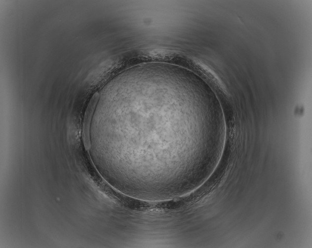 X0000090600593200707311203