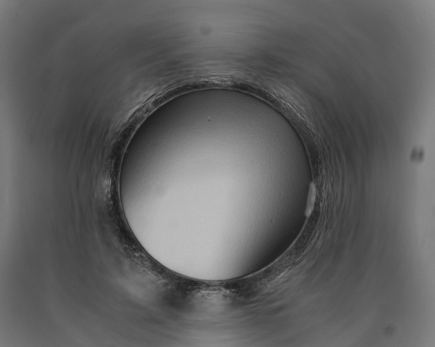 X0000090600595200707311203