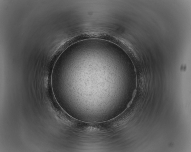 X0000090600596200707311203