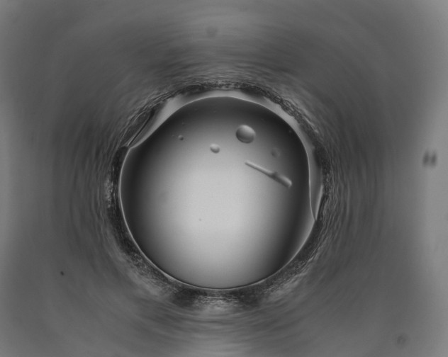 X0000090600597200707311203