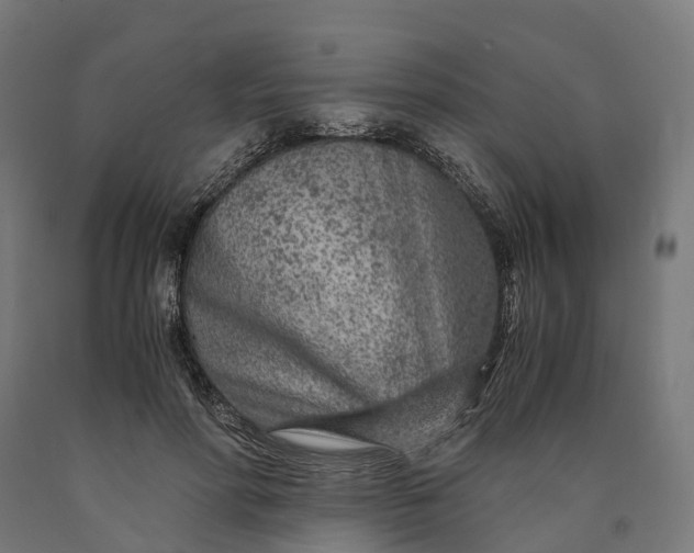 X0000090600598200707311203