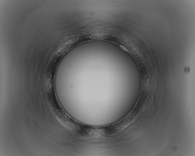 X0000090600599200707311203