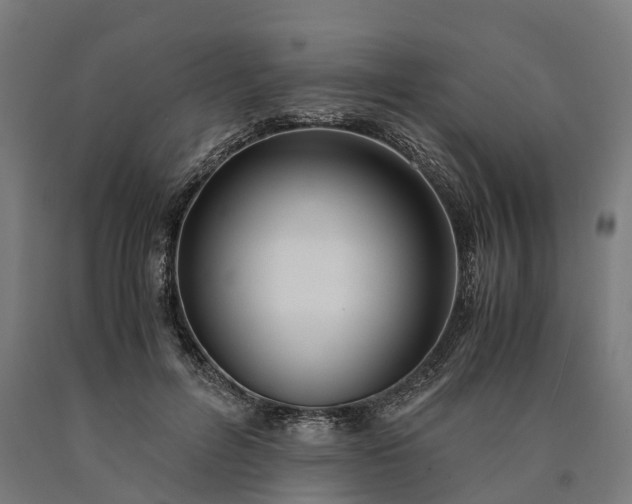 X0000090600600200707311203