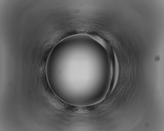 X0000090600601200707311203