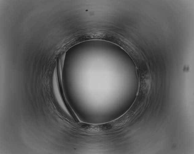 X0000090600604200707311203