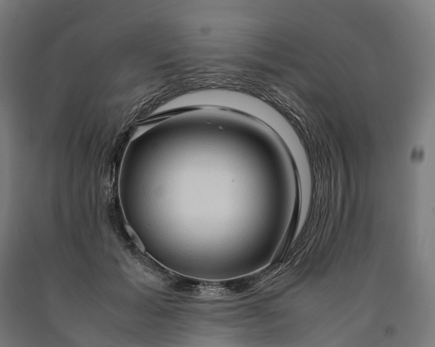 X0000090600605200707311203