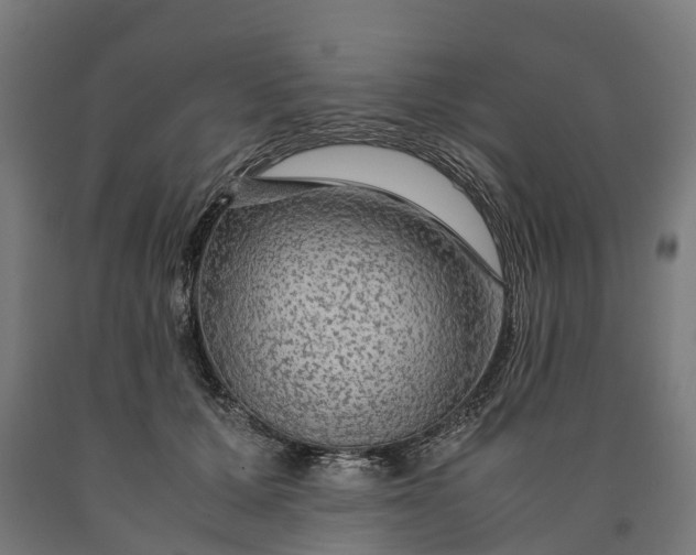 X0000090600607200707311203