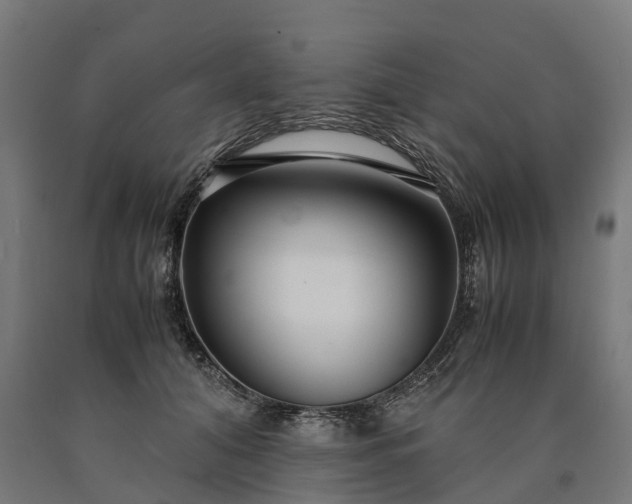 X0000090600608200707311203