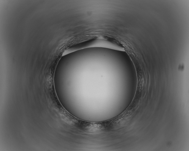 X0000090600609200707311203